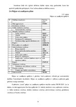 Biznesa plāns 'Kursa darbs ekonomikā', 27.