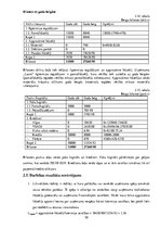 Biznesa plāns 'Kursa darbs ekonomikā', 29.