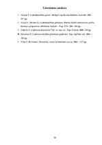 Biznesa plāns 'Kursa darbs ekonomikā', 33.