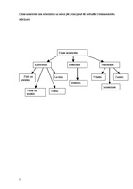 Referāts 'Dabas katastrofas', 5.