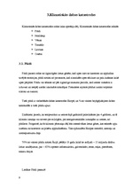 Referāts 'Dabas katastrofas', 9.