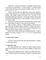 Referāts 'Galīgi automāti - mūsdienu datoru teorētiskais modelis', 30.