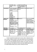 Prakses atskaite 'Muzeju prakse', 8.