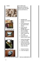 Prakses atskaite 'Muzeju prakse', 12.