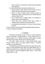 Referāts 'Katastrofu medicīnas centra iekšējās un ārējās vides analīze', 5.