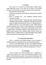 Referāts 'Katastrofu medicīnas centra iekšējās un ārējās vides analīze', 6.