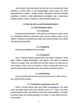 Referāts 'Katastrofu medicīnas centra iekšējās un ārējās vides analīze', 7.