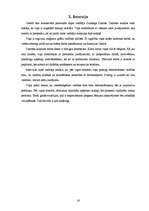 Referāts 'Katastrofu medicīnas centra iekšējās un ārējās vides analīze', 16.