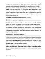 Diplomdarbs 'Terminologiearbeit auf Grund des Beispieltextes aus dem Baulexikon von Dietmar G', 34.