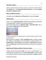 Diplomdarbs 'Terminologiearbeit auf Grund des Beispieltextes aus dem Baulexikon von Dietmar G', 36.