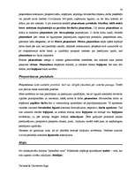 Diplomdarbs 'Terminologiearbeit auf Grund des Beispieltextes aus dem Baulexikon von Dietmar G', 38.