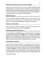 Diplomdarbs 'Terminologiearbeit auf Grund des Beispieltextes aus dem Baulexikon von Dietmar G', 39.