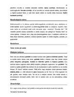 Diplomdarbs 'Terminologiearbeit auf Grund des Beispieltextes aus dem Baulexikon von Dietmar G', 40.