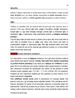 Diplomdarbs 'Terminologiearbeit auf Grund des Beispieltextes aus dem Baulexikon von Dietmar G', 44.