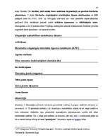 Diplomdarbs 'Terminologiearbeit auf Grund des Beispieltextes aus dem Baulexikon von Dietmar G', 45.