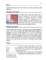 Diplomdarbs 'Terminologiearbeit auf Grund des Beispieltextes aus dem Baulexikon von Dietmar G', 48.