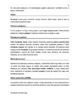 Diplomdarbs 'Terminologiearbeit auf Grund des Beispieltextes aus dem Baulexikon von Dietmar G', 50.