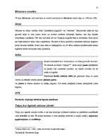 Diplomdarbs 'Terminologiearbeit auf Grund des Beispieltextes aus dem Baulexikon von Dietmar G', 53.