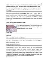 Diplomdarbs 'Terminologiearbeit auf Grund des Beispieltextes aus dem Baulexikon von Dietmar G', 55.