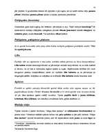 Diplomdarbs 'Terminologiearbeit auf Grund des Beispieltextes aus dem Baulexikon von Dietmar G', 56.