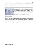 Diplomdarbs 'Terminologiearbeit auf Grund des Beispieltextes aus dem Baulexikon von Dietmar G', 57.