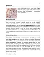 Diplomdarbs 'Terminologiearbeit auf Grund des Beispieltextes aus dem Baulexikon von Dietmar G', 58.