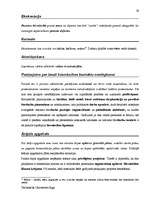 Diplomdarbs 'Terminologiearbeit auf Grund des Beispieltextes aus dem Baulexikon von Dietmar G', 59.