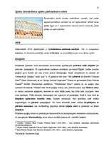 Diplomdarbs 'Terminologiearbeit auf Grund des Beispieltextes aus dem Baulexikon von Dietmar G', 61.