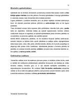 Diplomdarbs 'Terminologiearbeit auf Grund des Beispieltextes aus dem Baulexikon von Dietmar G', 70.