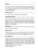 Diplomdarbs 'Terminologiearbeit auf Grund des Beispieltextes aus dem Baulexikon von Dietmar G', 72.