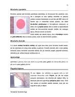 Diplomdarbs 'Terminologiearbeit auf Grund des Beispieltextes aus dem Baulexikon von Dietmar G', 75.