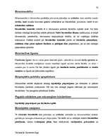 Diplomdarbs 'Terminologiearbeit auf Grund des Beispieltextes aus dem Baulexikon von Dietmar G', 76.