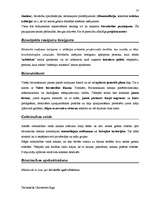 Diplomdarbs 'Terminologiearbeit auf Grund des Beispieltextes aus dem Baulexikon von Dietmar G', 77.