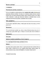 Diplomdarbs 'Terminologiearbeit auf Grund des Beispieltextes aus dem Baulexikon von Dietmar G', 82.