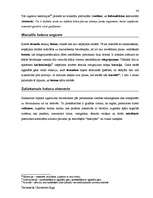 Diplomdarbs 'Terminologiearbeit auf Grund des Beispieltextes aus dem Baulexikon von Dietmar G', 84.