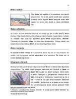 Diplomdarbs 'Terminologiearbeit auf Grund des Beispieltextes aus dem Baulexikon von Dietmar G', 85.