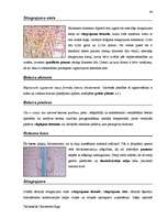 Diplomdarbs 'Terminologiearbeit auf Grund des Beispieltextes aus dem Baulexikon von Dietmar G', 86.