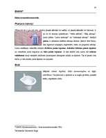 Diplomdarbs 'Terminologiearbeit auf Grund des Beispieltextes aus dem Baulexikon von Dietmar G', 88.