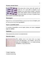 Diplomdarbs 'Terminologiearbeit auf Grund des Beispieltextes aus dem Baulexikon von Dietmar G', 89.