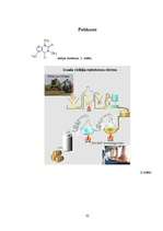 Referāts 'Pēc tautas medicīnas metodēm viegli pagatavojami izvilkumi no alkohola profilakt', 22.