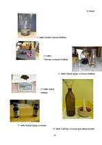 Referāts 'Pēc tautas medicīnas metodēm viegli pagatavojami izvilkumi no alkohola profilakt', 24.