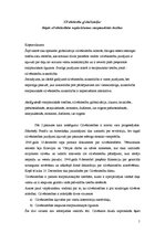 Eseja 'Cilvēktiesību globalizācija: Kāpēc cilvēktiesībām nepieciešamas starptautiskās t', 1.