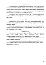 Referāts 'Krāsu psiholoģiskā ietekme uz temperamenta tipiem jauniešu vidū', 9.