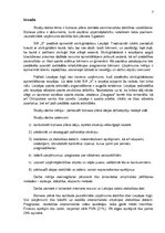 Biznesa plāns 'Biznesa plāns', 3.