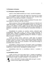 Biznesa plāns 'Biznesa plāns', 7.