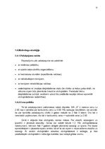 Biznesa plāns 'Biznesa plāns', 12.