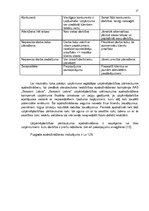 Biznesa plāns 'Biznesa plāns', 17.