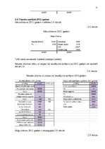 Biznesa plāns 'Biznesa plāns', 22.