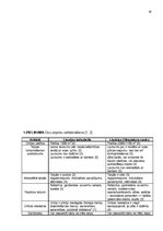 Biznesa plāns 'Biznesa plāns', 28.