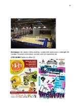 Biznesa plāns 'Biznesa plāns', 30.